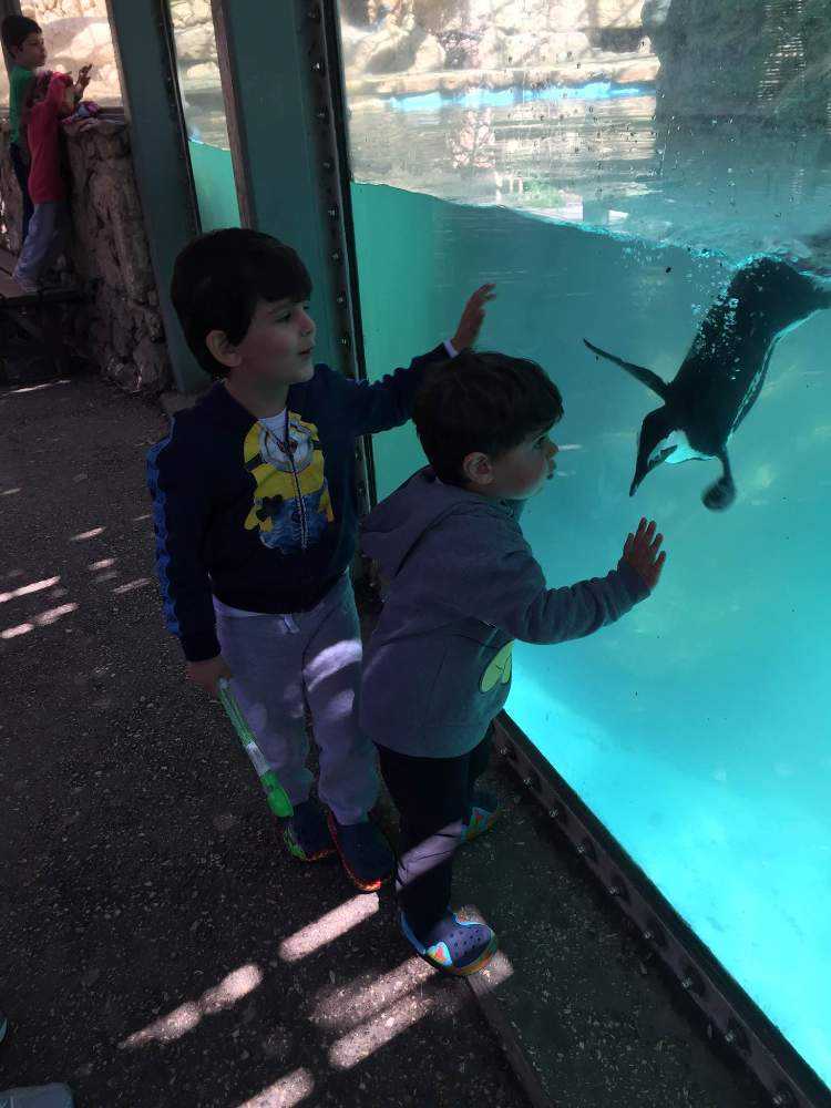 צילום: אילן זביב