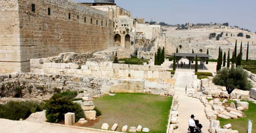 atr-davidson-archeological-garden-2