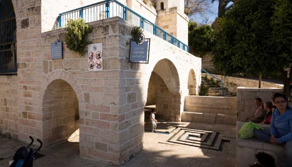 צילום: אלכס ימפולסקי